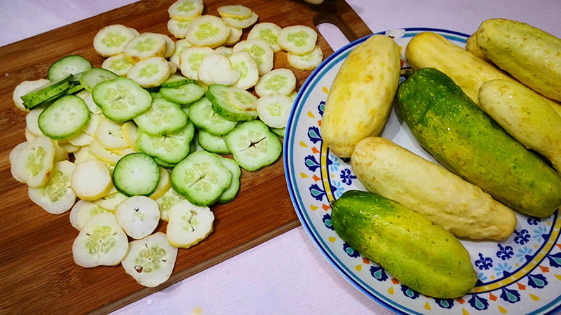 秋冬大棚黄瓜种植技术