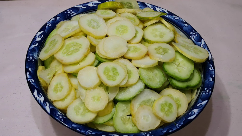 秋冬大棚黄瓜种植技术