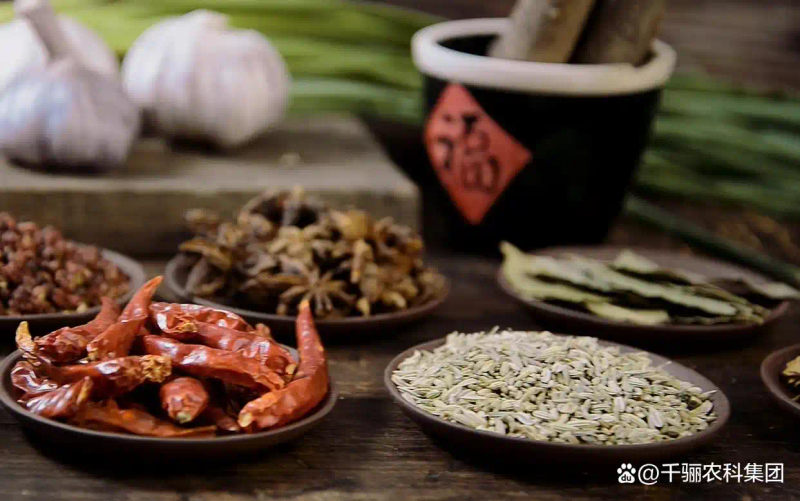 大茴香种植技术和时间