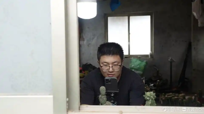 仙人球的种植方法