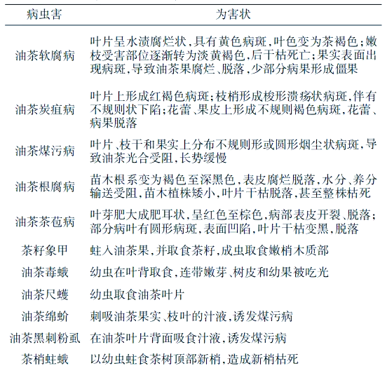 现代农业油茶种植技术