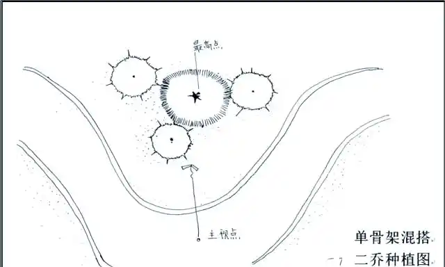 景观树的种植技术