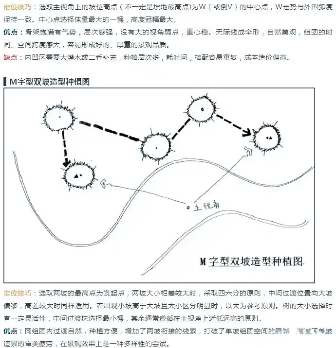 景观树的种植技术