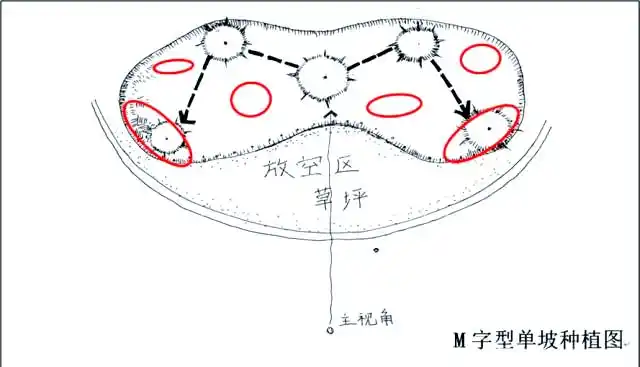 景观树的种植技术