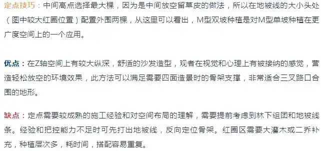 景观树的种植技术