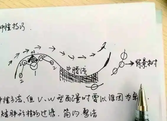 景观树的种植技术