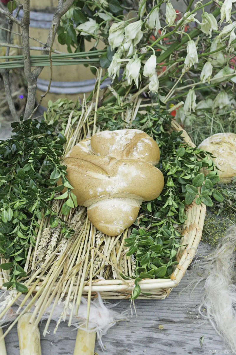 新型的香菇种植技术