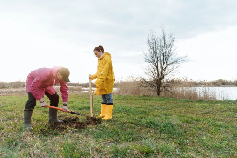 Landscape tree planting techniques
