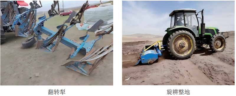 马铃薯双垄种植技术