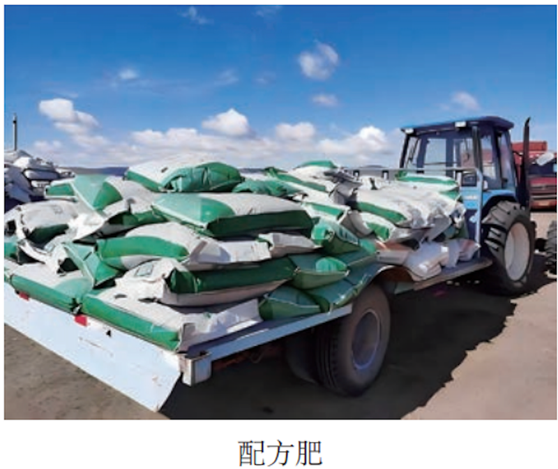 马铃薯双垄种植技术