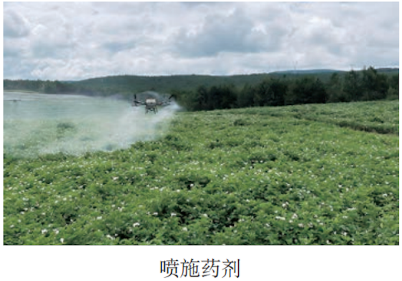 马铃薯双垄种植技术