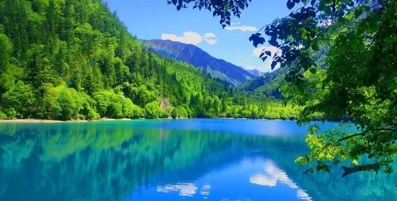 纪律处分条例特点