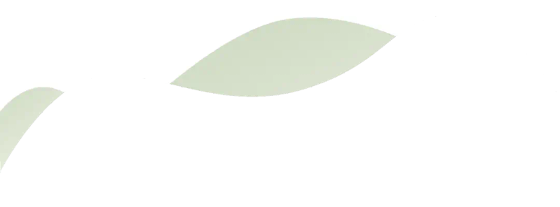 景观树的种植技术