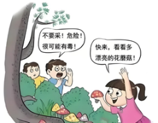 健康素养知识问答题库及参考答案一