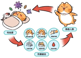 健康素养知识问答题库及参考答案一