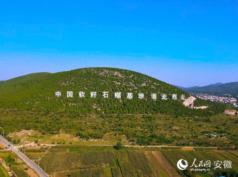 安徽适合种植什么水果