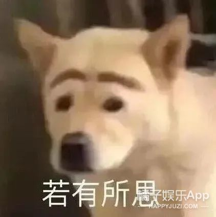 腐圈术语缩写