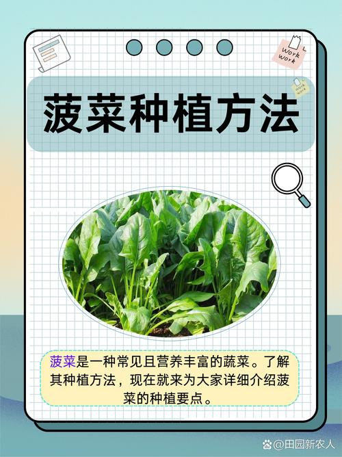 Plantation techniques