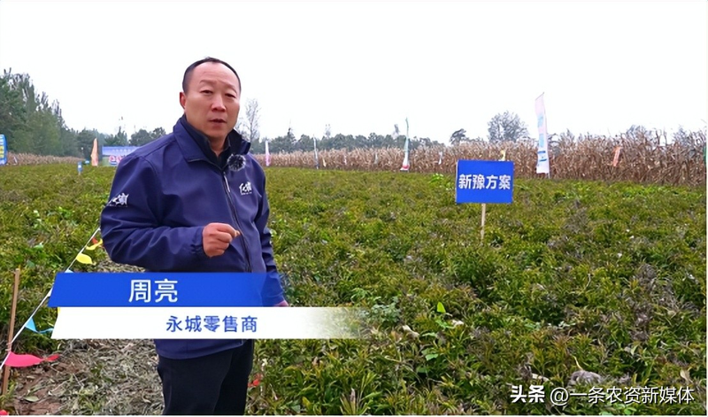 改良白术种植技术