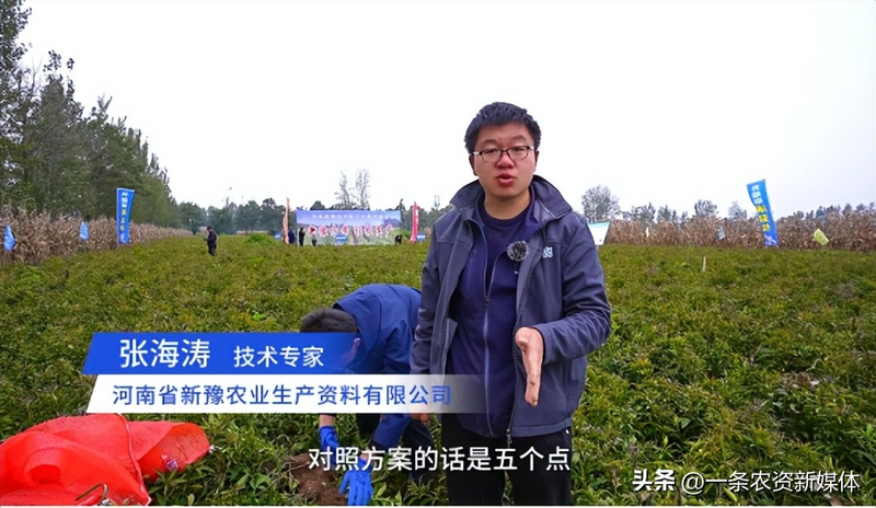 改良白术种植技术