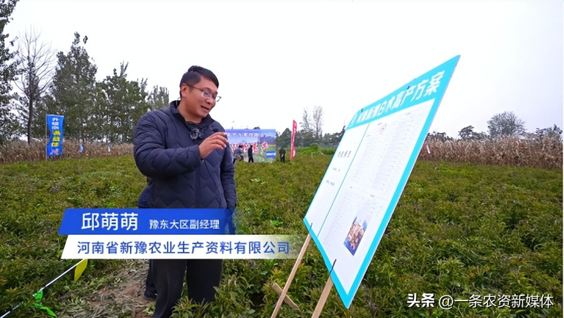 改良白术种植技术