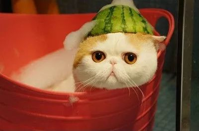 电热水器工作原理