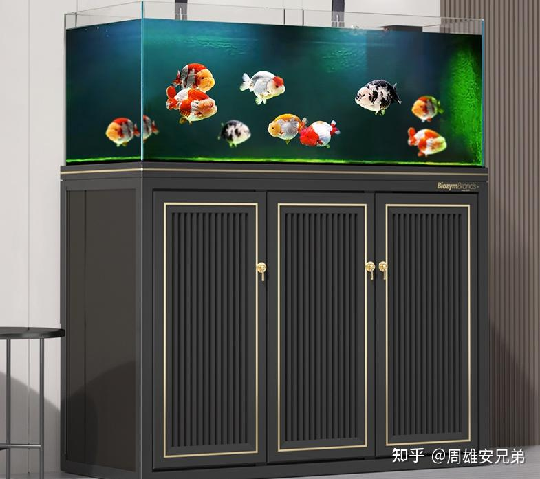 鱼缸水草种子种植方法