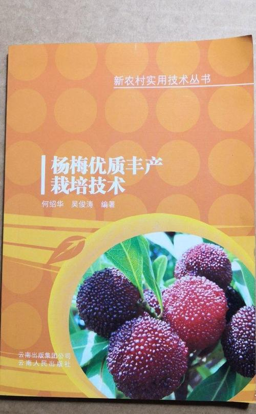 杨梅种植技术