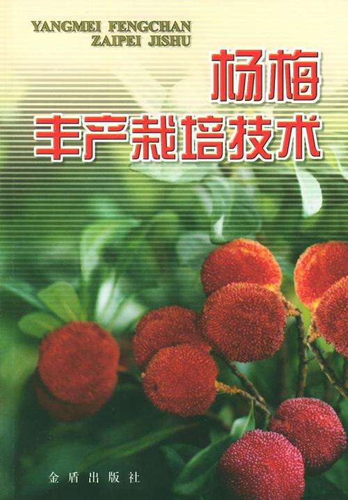 杨梅种植技术