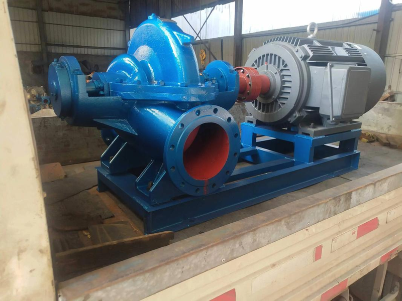 叶轮给煤机厂家价位