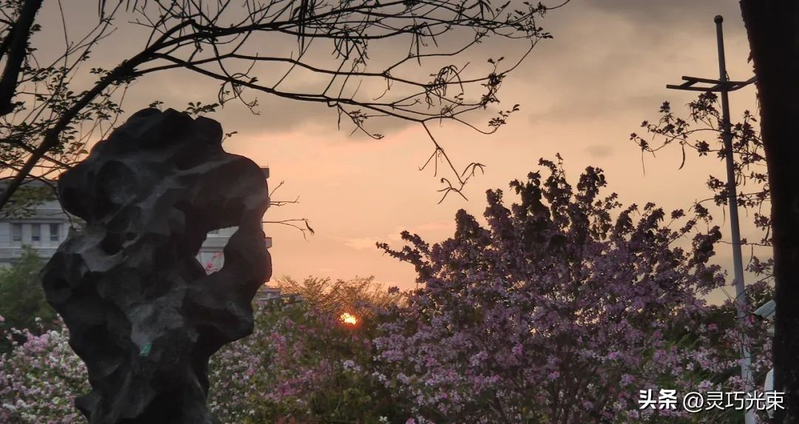 视频网站排名高还是图文高