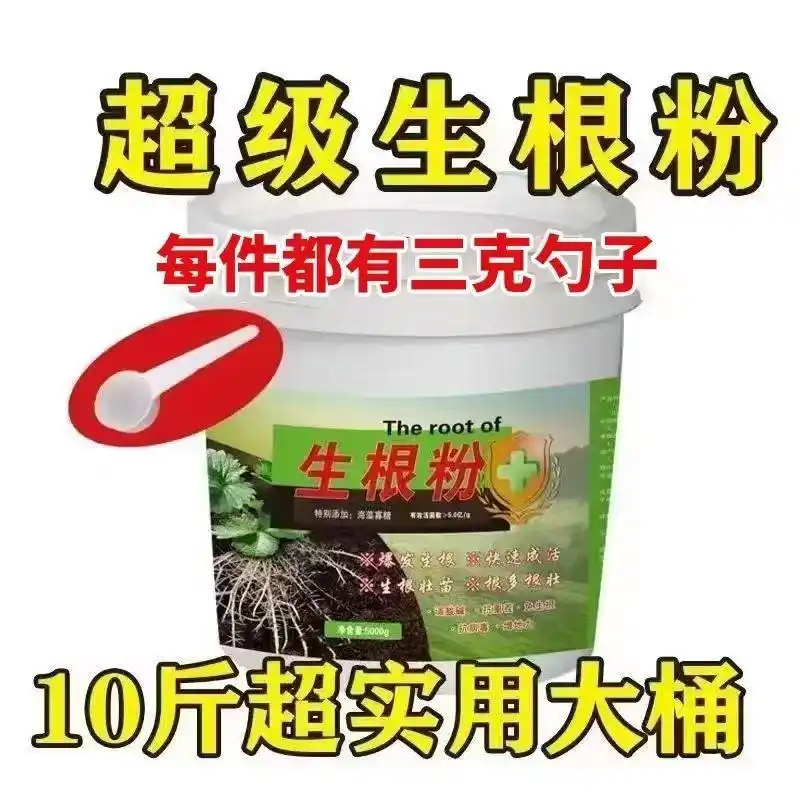 现代农业油茶种植技术