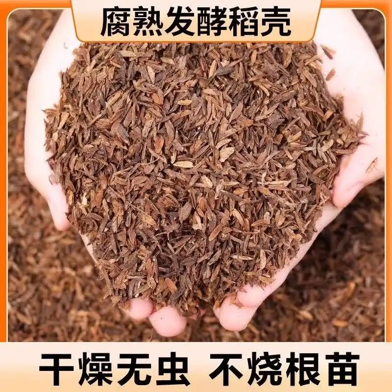 现代农业油茶种植技术