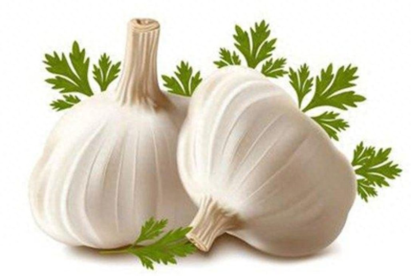 夏季蒜苗种植技术