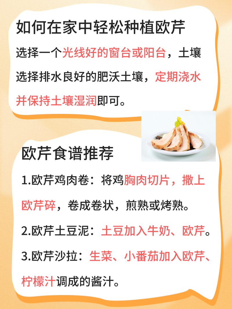 生菜夏天种植方法