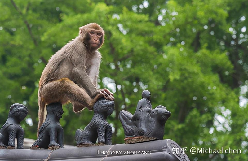 连云港seo_连云港网站推广_连云港网站优化