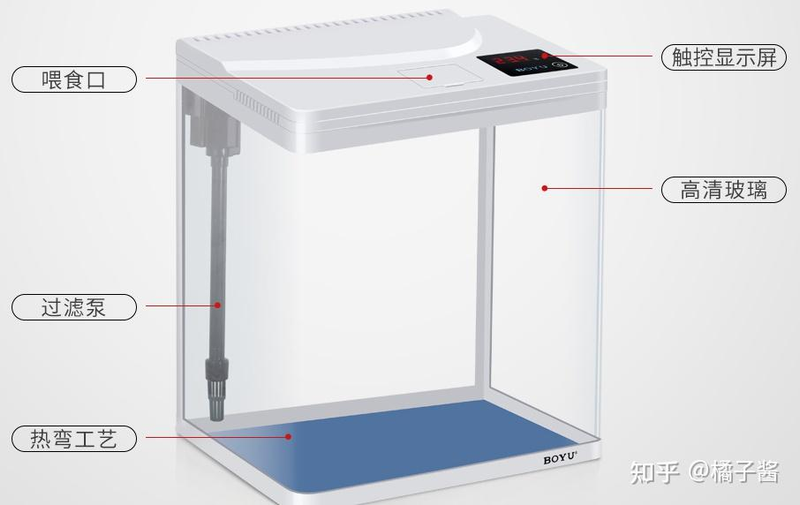 鱼缸水草种子种植方法