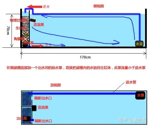 鱼缸水草种子种植方法