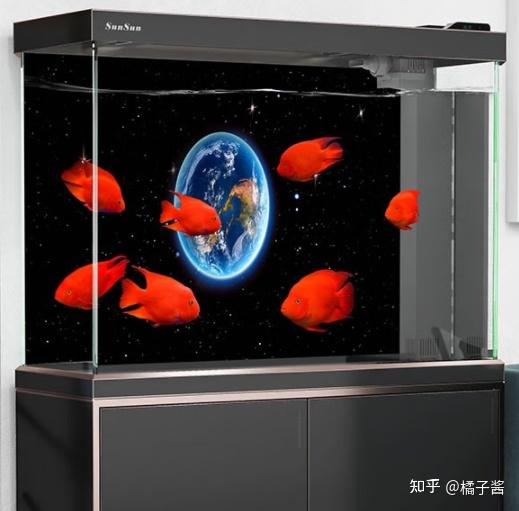 鱼缸水草种子种植方法