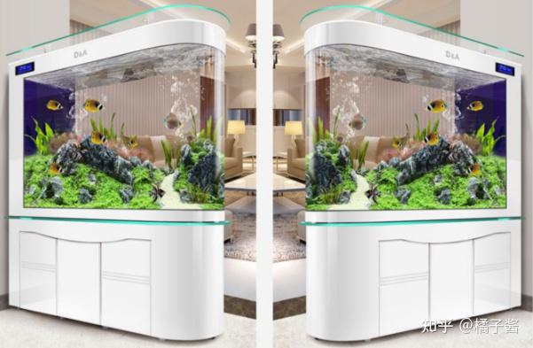 鱼缸水草种子种植方法