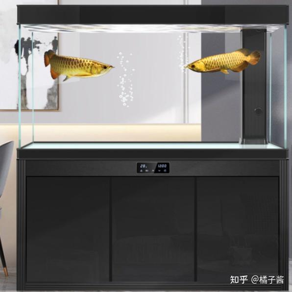 鱼缸水草种子种植方法