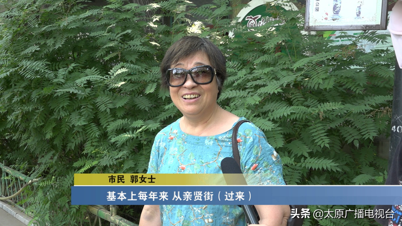 睡莲种植方法图解