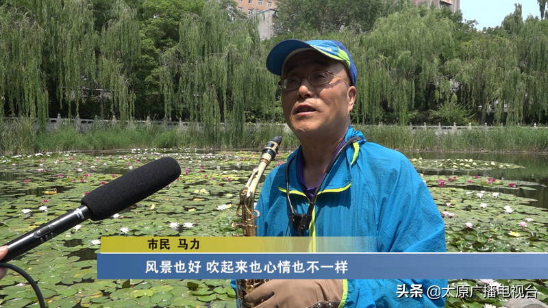 睡莲种植方法图解