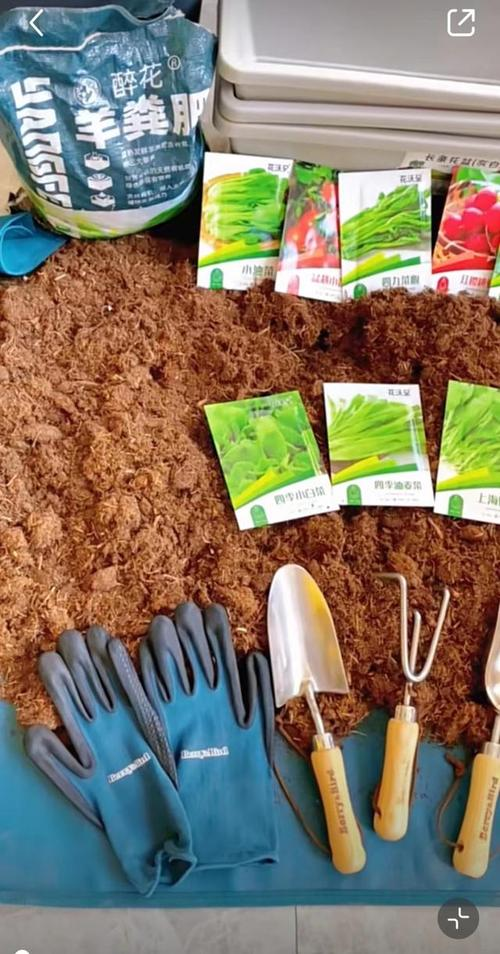 生菜夏天种植方法