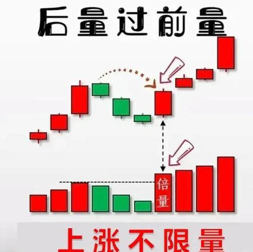 基本面分析的步骤