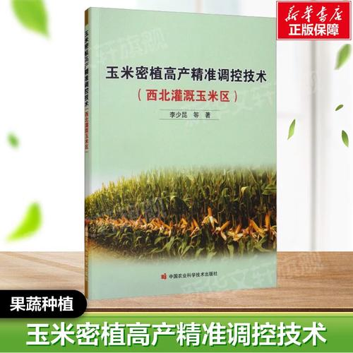 玉米高产种植技术