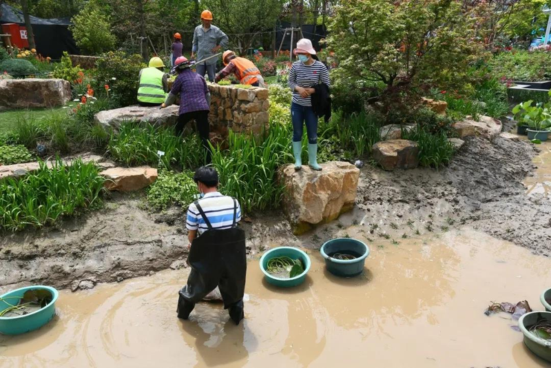 Map of the method of planting the sleeping lotus