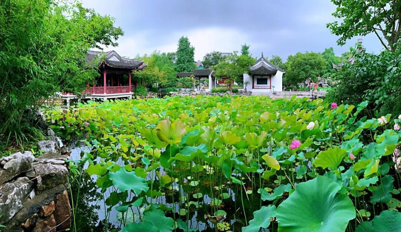 Map of the method of planting the sleeping lotus