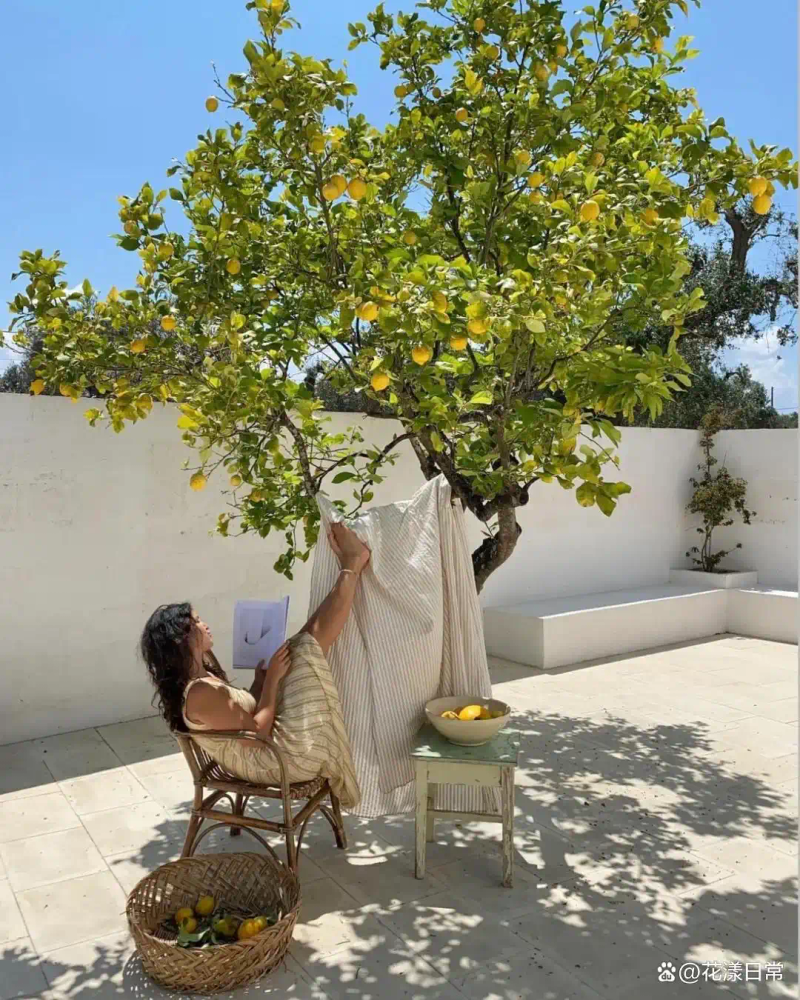 Landscape tree planting techniques