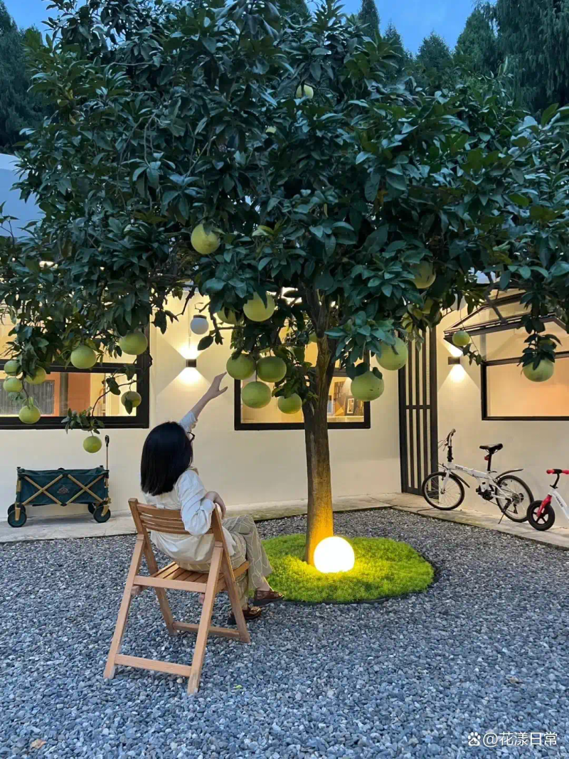 Landscape tree planting techniques